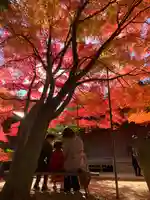 滑川神社 - 仕事と子どもの守り神(福島県)