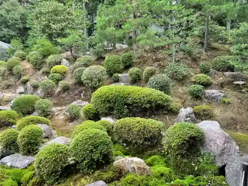 東福禅寺（東福寺）の庭園