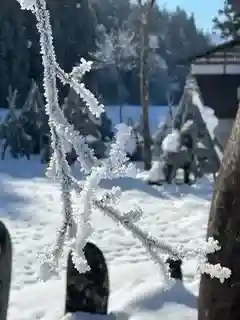 雲洞庵(新潟県)