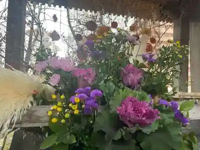 彌彦神社　(伊夜日子神社)の手水舎