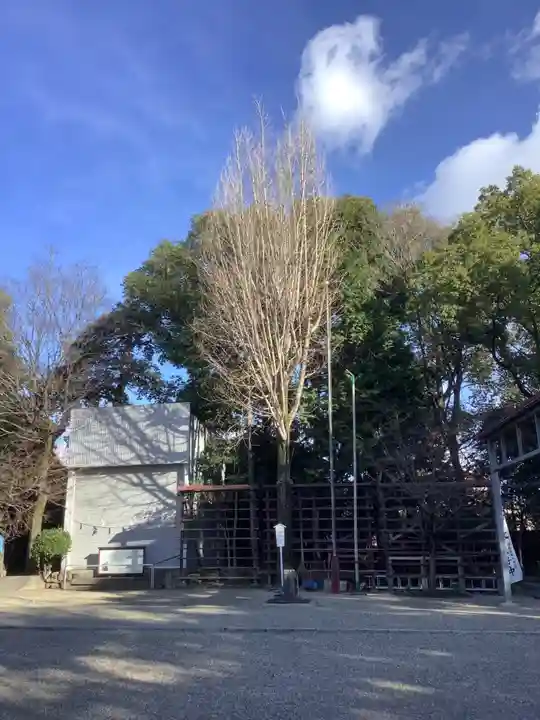 富部神社の自然