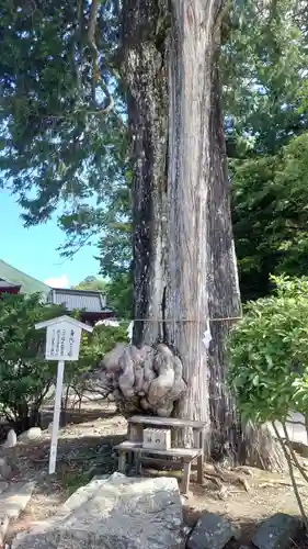 中禅寺(栃木県)