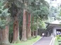 中尊寺金色堂(岩手県)