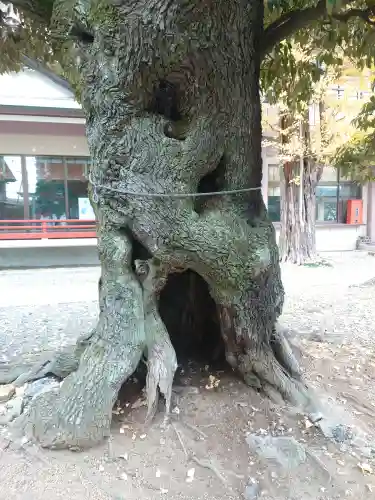 青砥神社の{uncategorized: "未分類", other: "その他", undefined: "問題あり", building: "その他建物", grave: "お墓", sacred_gate: "鳥居", guardian: "狛犬", statue: "像", buddha: "仏像", history: "歴史", nature: "自然", garden: "庭園", animal: "動物", pagoda: "塔", temizu: "手水舎", mountain_gate: "山門・神門", sanctuary: "本殿・本堂", subordinate: "末社・摂社", art: "芸術", scenery: "景色", jizo: "地蔵", ema: "絵馬", goshuin: "御朱印", omikuji: "おみくじ", items: "授与品その他", amulet: "お守り", goshuincho: "御朱印帳", eats: "食事", festival: "お祭り", votive_dance: "神楽", shichigosan: "七五三参", wedding: "結婚式", experience: "体験その他", initially: "初詣", around: "周辺", anti_infection: "感染症対策"}