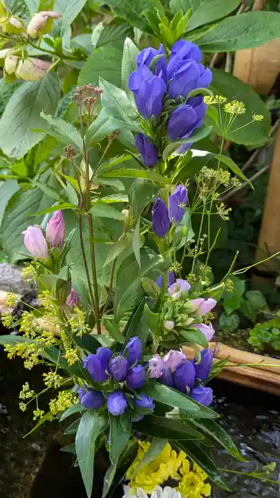 宝蔵寺(京都府)