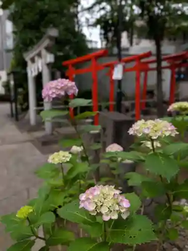 鳩森八幡神社(東京都)
