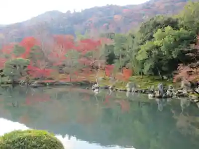 天龍寺の庭園