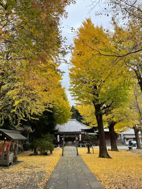 平塚神社(東京都)