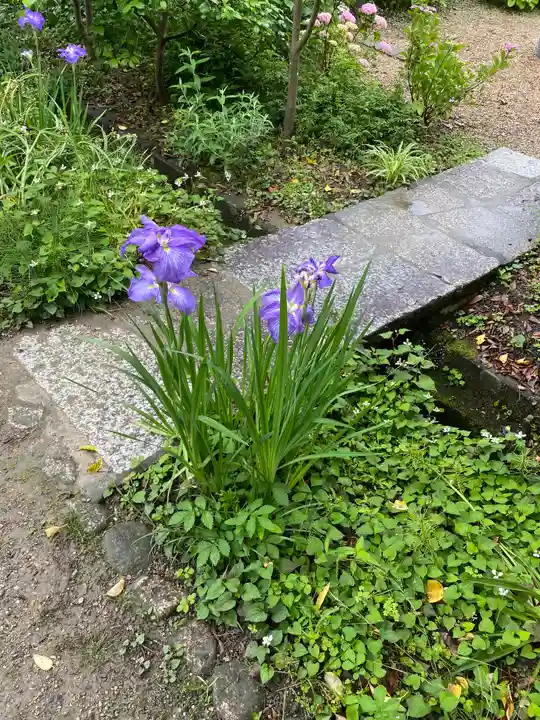 法華寺(奈良県)