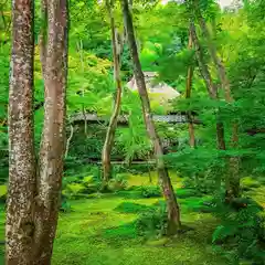 祇王寺の建物その他