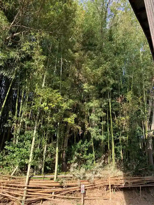 宗賢神社の自然