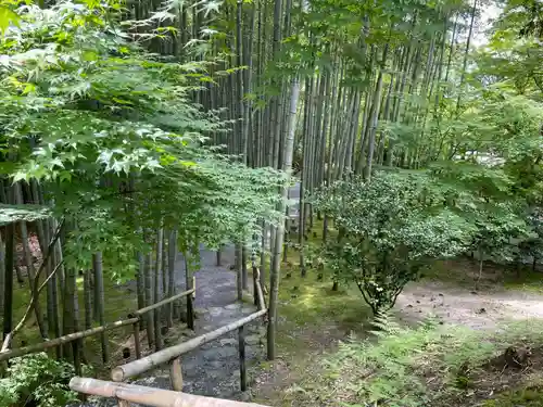 圓光寺(京都府)
