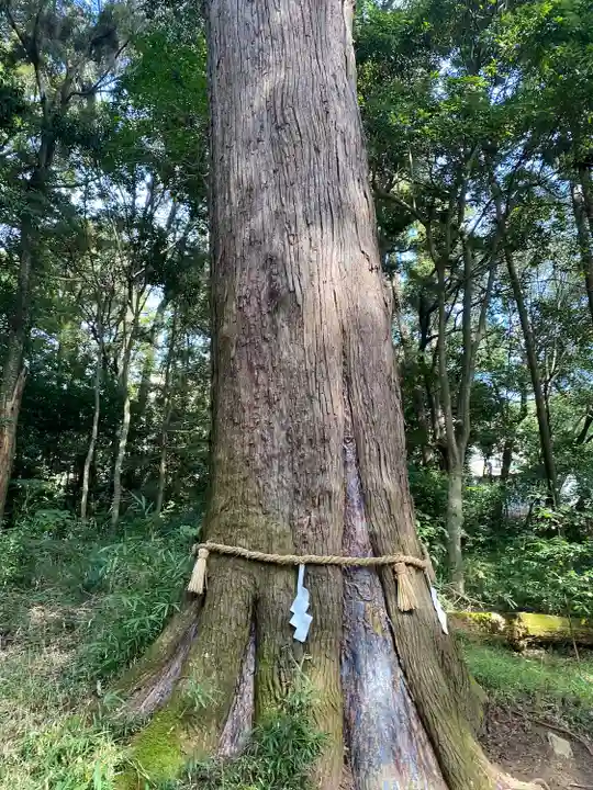 土佐神社(高知県)