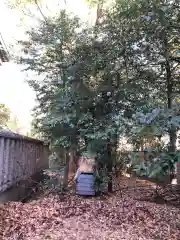 布多天神社の建物その他