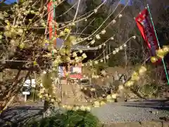 清水寺(栃木県)