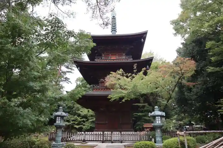 豪徳寺(東京都)