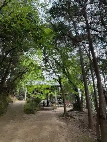 圓教寺の{uncategorized: "未分類", other: "その他", undefined: "問題あり", building: "その他建物", grave: "お墓", sacred_gate: "鳥居", guardian: "狛犬", statue: "像", buddha: "仏像", history: "歴史", nature: "自然", garden: "庭園", animal: "動物", pagoda: "塔", temizu: "手水舎", mountain_gate: "山門・神門", sanctuary: "本殿・本堂", subordinate: "末社・摂社", art: "芸術", scenery: "景色", jizo: "地蔵", ema: "絵馬", goshuin: "御朱印", omikuji: "おみくじ", items: "授与品その他", amulet: "お守り", goshuincho: "御朱印帳", eats: "食事", festival: "お祭り", votive_dance: "神楽", shichigosan: "七五三参", wedding: "結婚式", experience: "体験その他", initially: "初詣", around: "周辺", anti_infection: "感染症対策"}