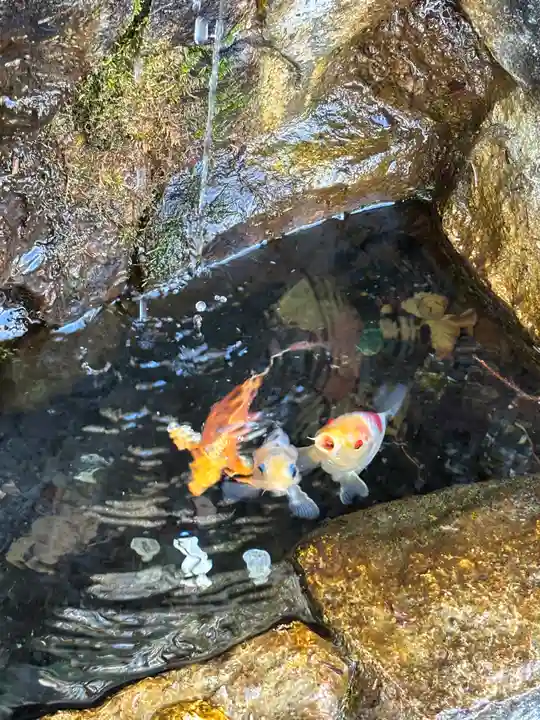 貴船神社(群馬県)