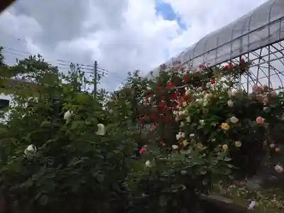 艫神社(茨城県)
