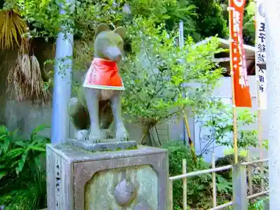 王子稲荷神社の狛犬