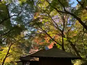 普門寺(切り絵御朱印発祥の寺)のその他建物(2020年11月26日(木) 19時17分45秒投稿)
