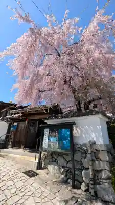星光院の{uncategorized: "未分類", other: "その他", undefined: "問題あり", building: "その他建物", grave: "お墓", sacred_gate: "鳥居", guardian: "狛犬", statue: "像", buddha: "仏像", history: "歴史", nature: "自然", garden: "庭園", animal: "動物", pagoda: "塔", temizu: "手水舎", mountain_gate: "山門・神門", sanctuary: "本殿・本堂", subordinate: "末社・摂社", art: "芸術", scenery: "景色", jizo: "地蔵", ema: "絵馬", goshuin: "御朱印", omikuji: "おみくじ", items: "授与品その他", amulet: "お守り", goshuincho: "御朱印帳", eats: "食事", festival: "お祭り", votive_dance: "神楽", shichigosan: "七五三参", wedding: "結婚式", experience: "体験その他", initially: "初詣", around: "周辺", anti_infection: "感染症対策"}