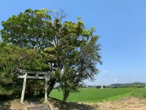 八幡神社の鳥居