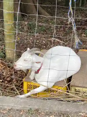 出雲大社相模分祠(神奈川県)