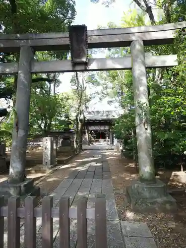 白幡天神社の鳥居