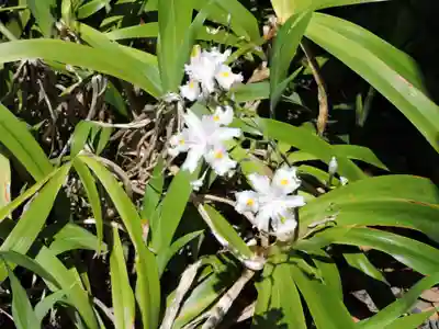 大福寺(静岡県)