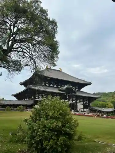 東大寺の{uncategorized: "未分類", other: "その他", undefined: "問題あり", building: "その他建物", grave: "お墓", sacred_gate: "鳥居", guardian: "狛犬", statue: "像", buddha: "仏像", history: "歴史", nature: "自然", garden: "庭園", animal: "動物", pagoda: "塔", temizu: "手水舎", mountain_gate: "山門・神門", sanctuary: "本殿・本堂", subordinate: "末社・摂社", art: "芸術", scenery: "景色", jizo: "地蔵", ema: "絵馬", goshuin: "御朱印", omikuji: "おみくじ", items: "授与品その他", amulet: "お守り", goshuincho: "御朱印帳", eats: "食事", festival: "お祭り", votive_dance: "神楽", shichigosan: "七五三参", wedding: "結婚式", experience: "体験その他", initially: "初詣", around: "周辺", anti_infection: "感染症対策"}