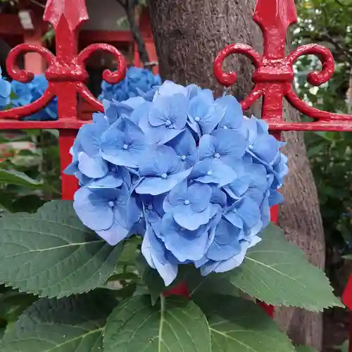 八幡神社の自然