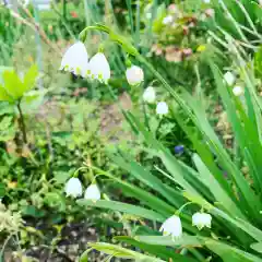 豊景神社の自然