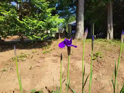 伏木香取神社(茨城県)