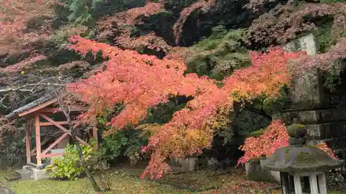 若山神社(大阪府)