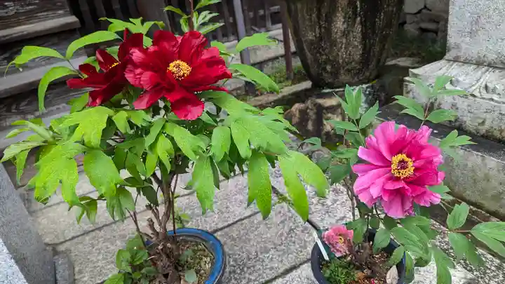 行願寺(革堂)(京都府)