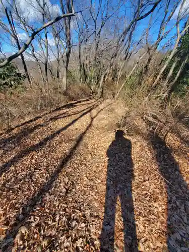 雷電神社（助戸東山町）(栃木県)