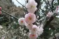 稲荷神社(山口県)