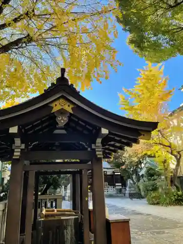 鳥越神社(東京都)