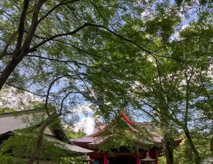 井の頭弁財天(大盛寺)(東京都)