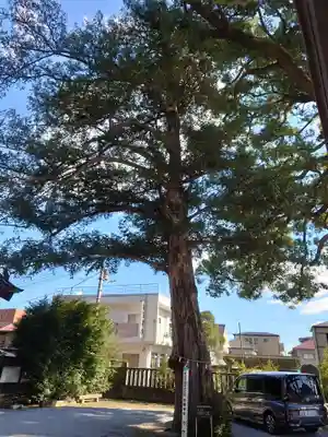 金鑚神社(埼玉県)