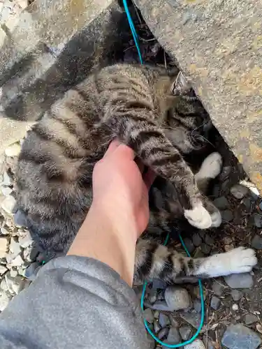 唐澤山神社(栃木県)