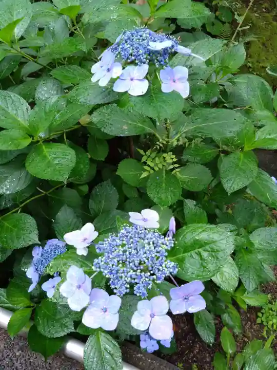 宝満宮竈門神社(福岡県)