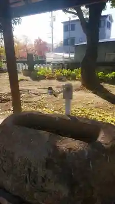 修理若御子社の手水舎