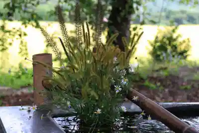 高司神社〜むすびの神の鎮まる社〜の手水舎
