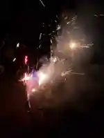 日蓮宗 総本山 塔頭 定林坊(じょうりんぼう)(山梨県)