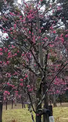 長岡天満宮(京都府)