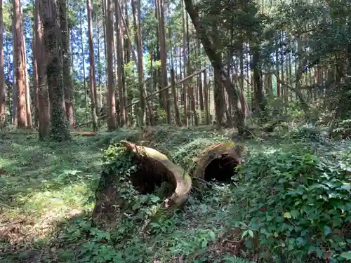 玉垣神社の自然