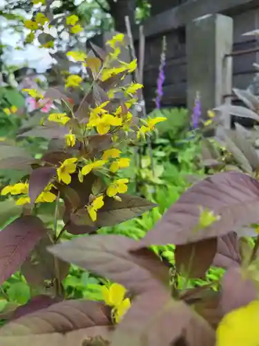 厚別神社(北海道)