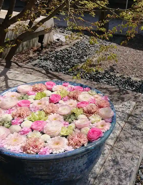 行田八幡神社(埼玉県)